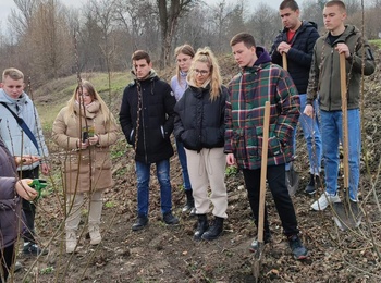 Лабораторне заняття з дисципліни «Біоенергетичні культури».