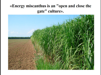 Дисципліна «Біоенергетичні культури», лекція «Energy miscanthus is an "open and close the gate" culture».