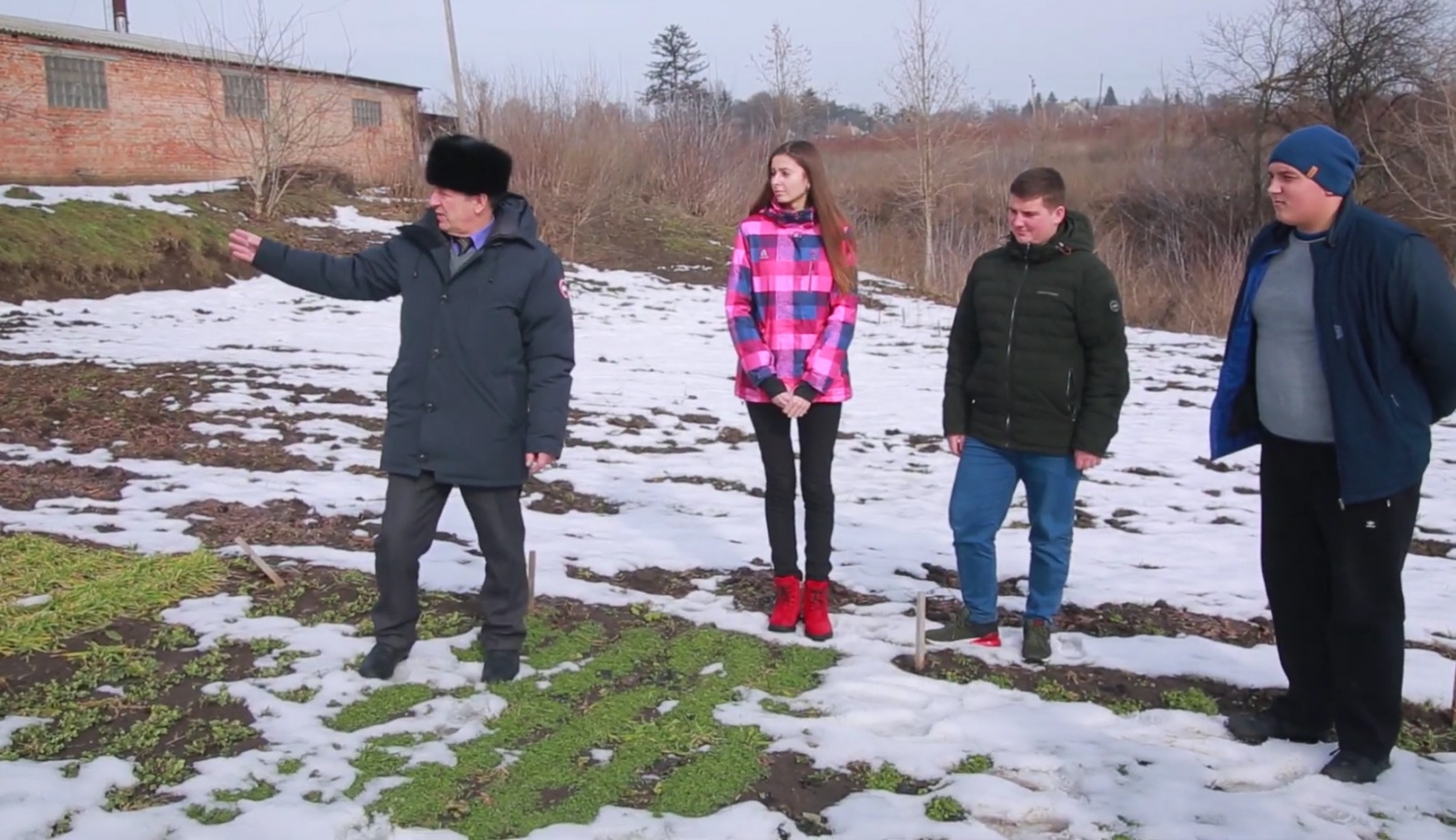 Весняний догляд за посівами озимини