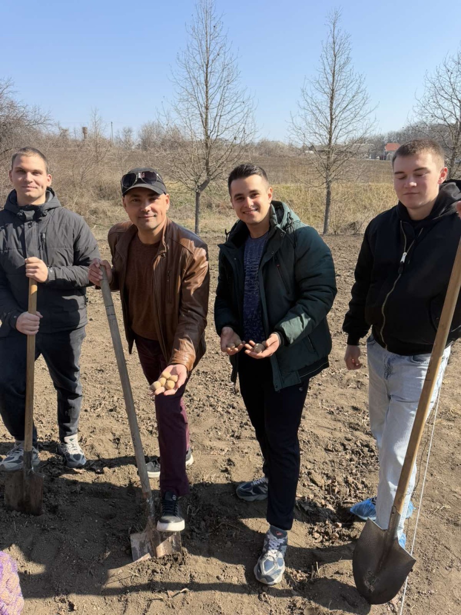 Вплив сортового складу та строків садіння на продуктивність картоплі: результати закладання досліду