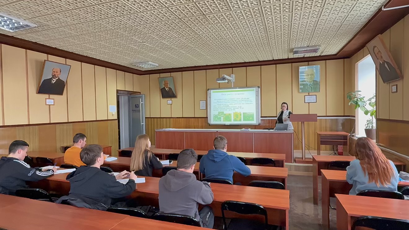 Соняшник – цінна культура для аграрного сектору України