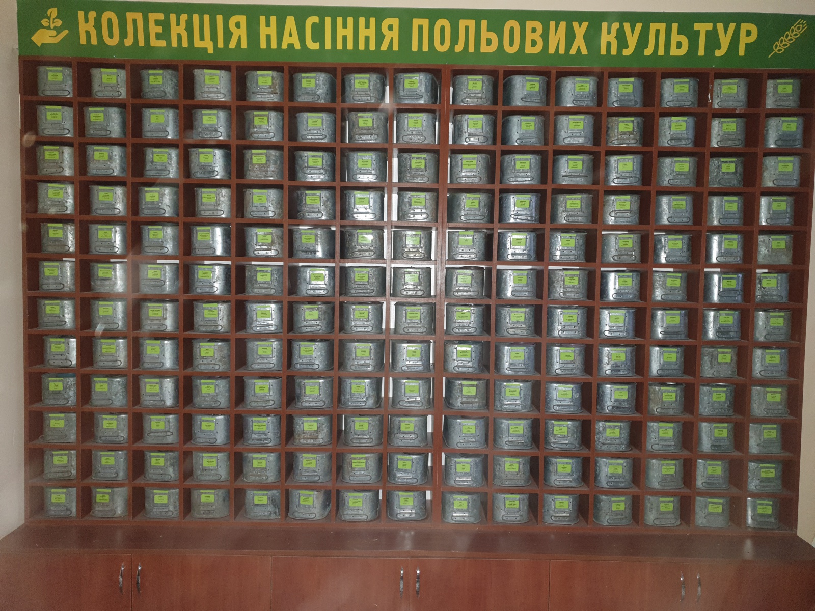 Формування колекції польових культур